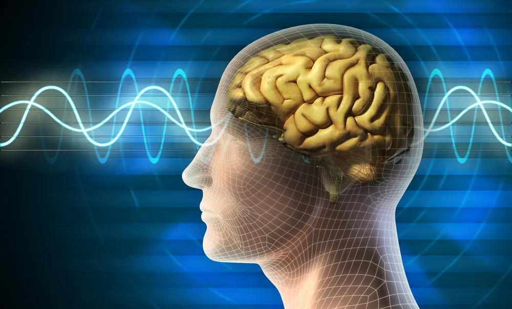 Brain waves running through the human brain (CGI)