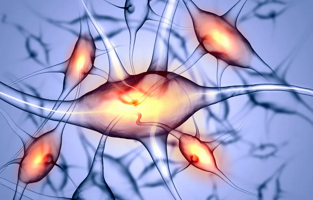 Synapses and BioRegulation Therapy