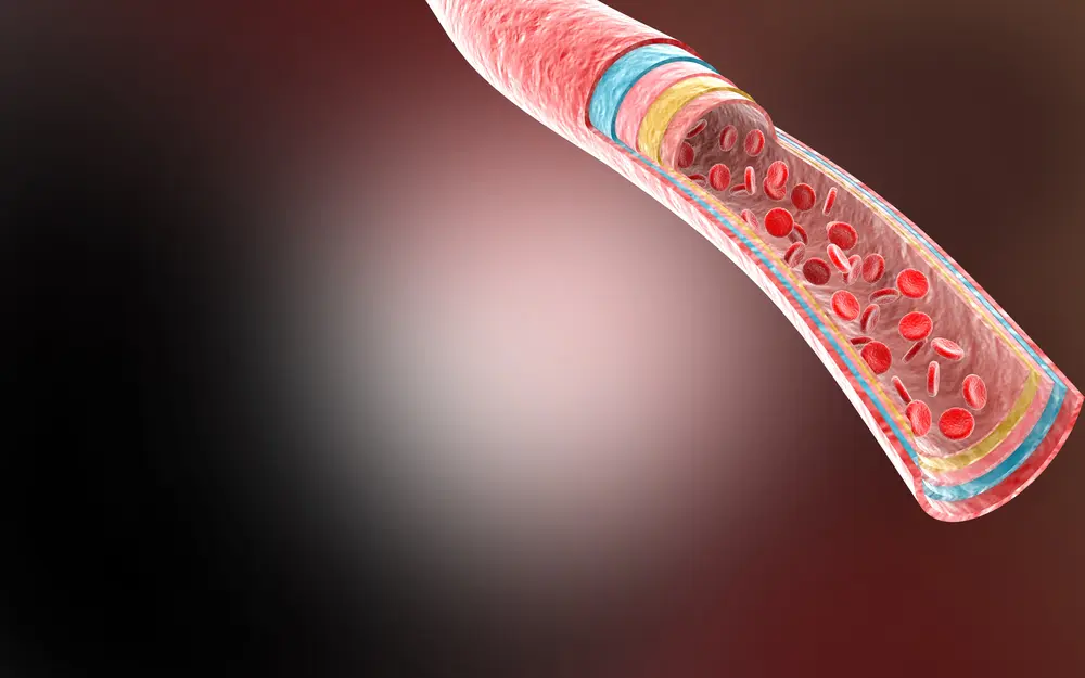CGI depicting how blood viscosity works