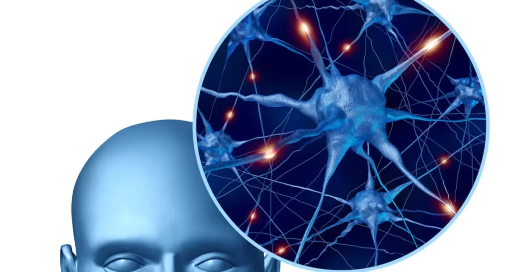 Neurological Conditions | Optica | NMO | Synapses | Brain