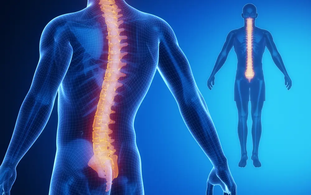 Paraplegia | Spinal Cord | Injury | Healing Injuries | PEMFs