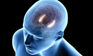 CGI of human head with the hippocampus illuminated