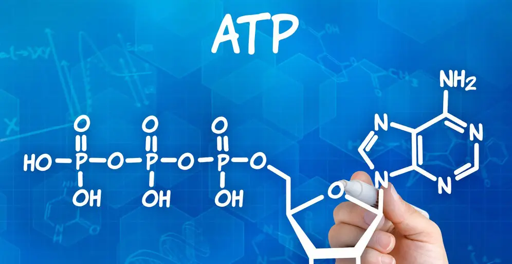 Chemical formula for ATP written on a board