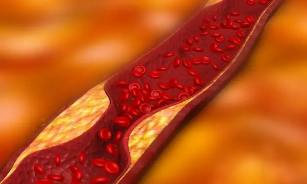 Red Blood Cells flowing through artery