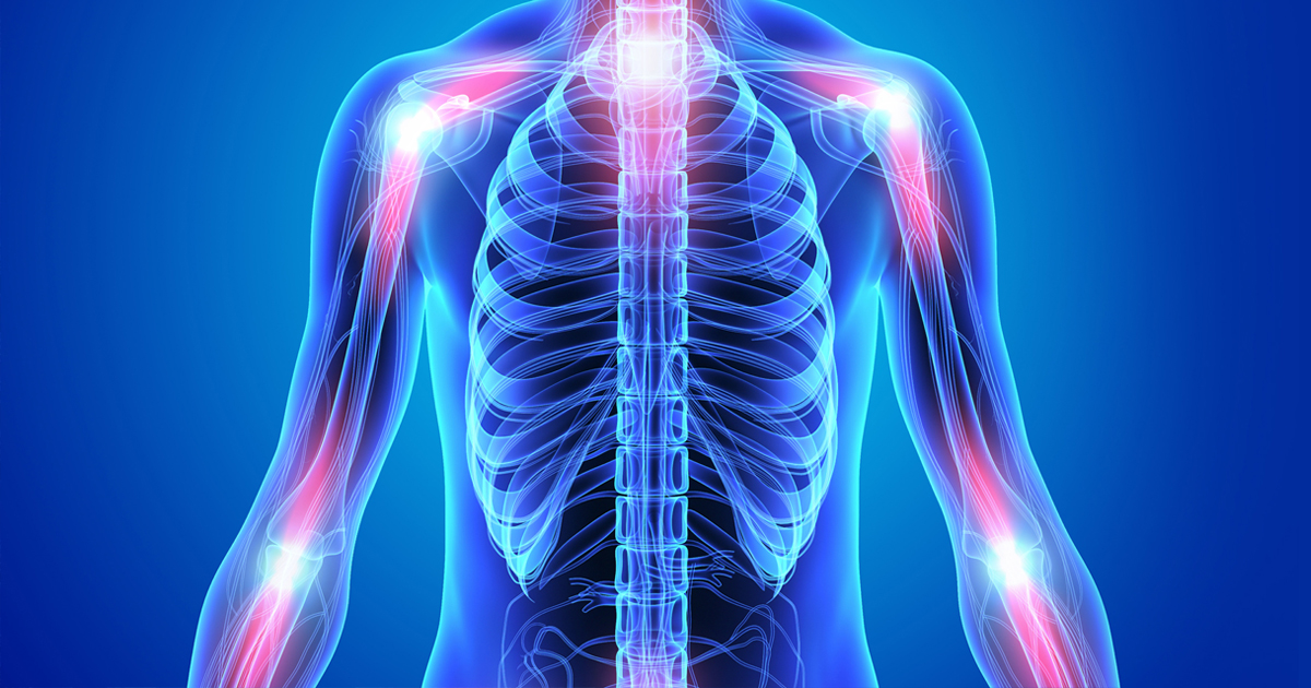 Human Body | Nerves and Bones | Inflammation